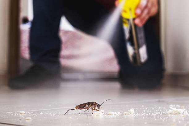 Best Pest Prevention Services  in Palmer, TX