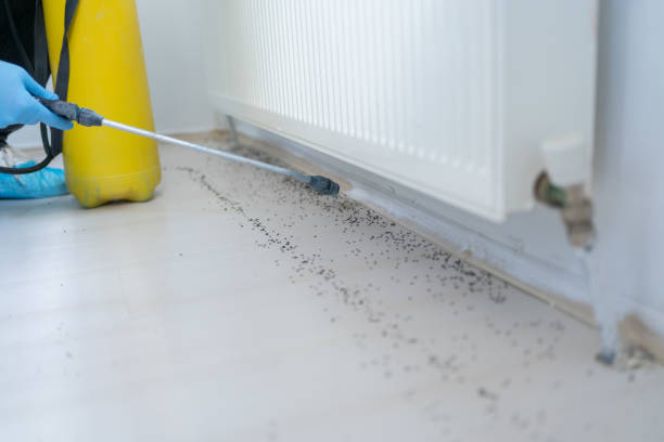 Best Pest Removal Services  in Palmer, TX