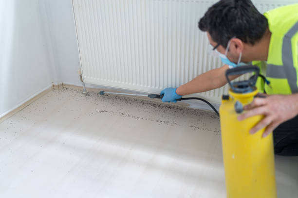 Reliable Palmer, TX Pest Control Solutions